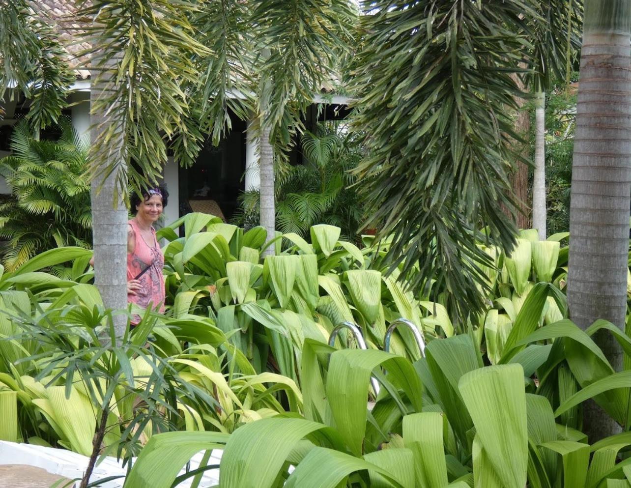 Wild Heaven Hotel Tissamaharama Exterior photo